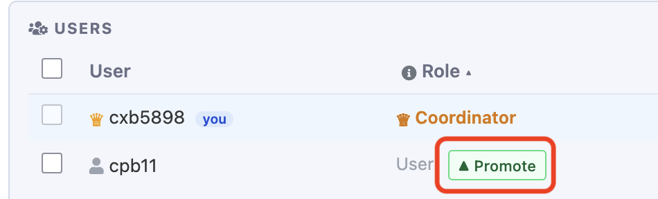 Promote button on Slurm Account Manager